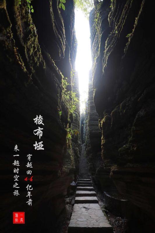 福建省人大常委会原党组副书记、副主任苏增添接受审查调查